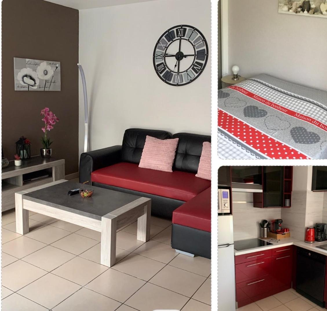 L Edelweiss Et Sa Piscine Apartment Albertville Luaran gambar